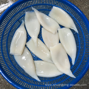 Top Quality Frozen Squid Tube Cleaned Calamari Tubes